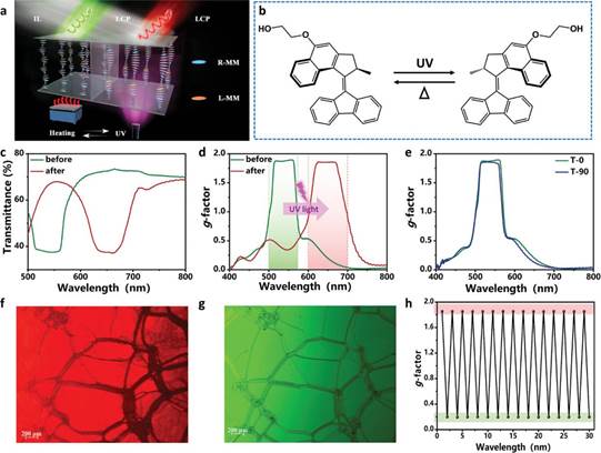 adma202312396-fig-0004-m